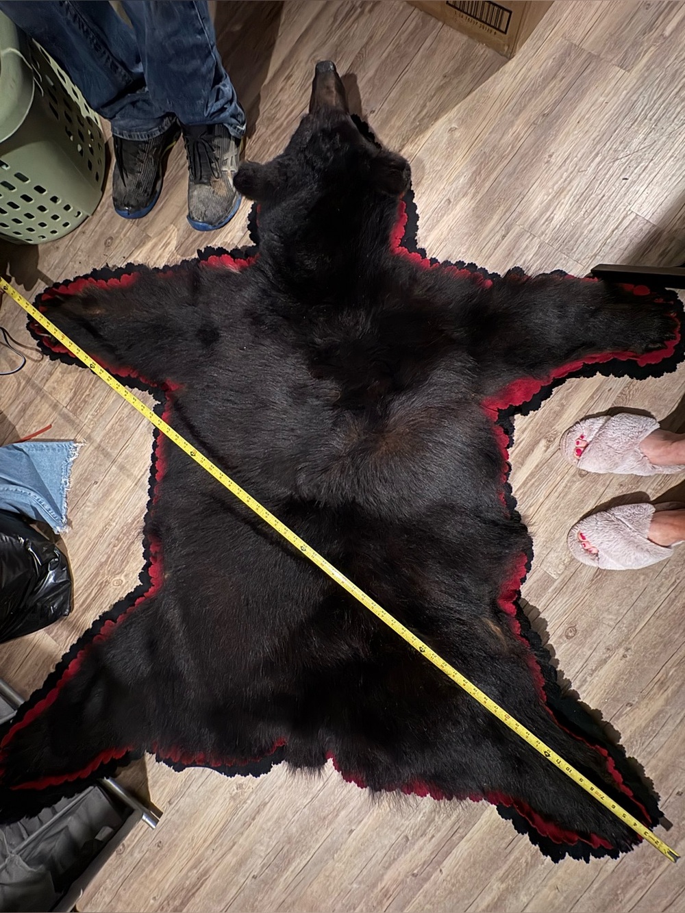 Beautiful Real Black Bear Hide Rug with Red Trim 6 foot
